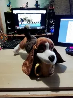Dog ! :D